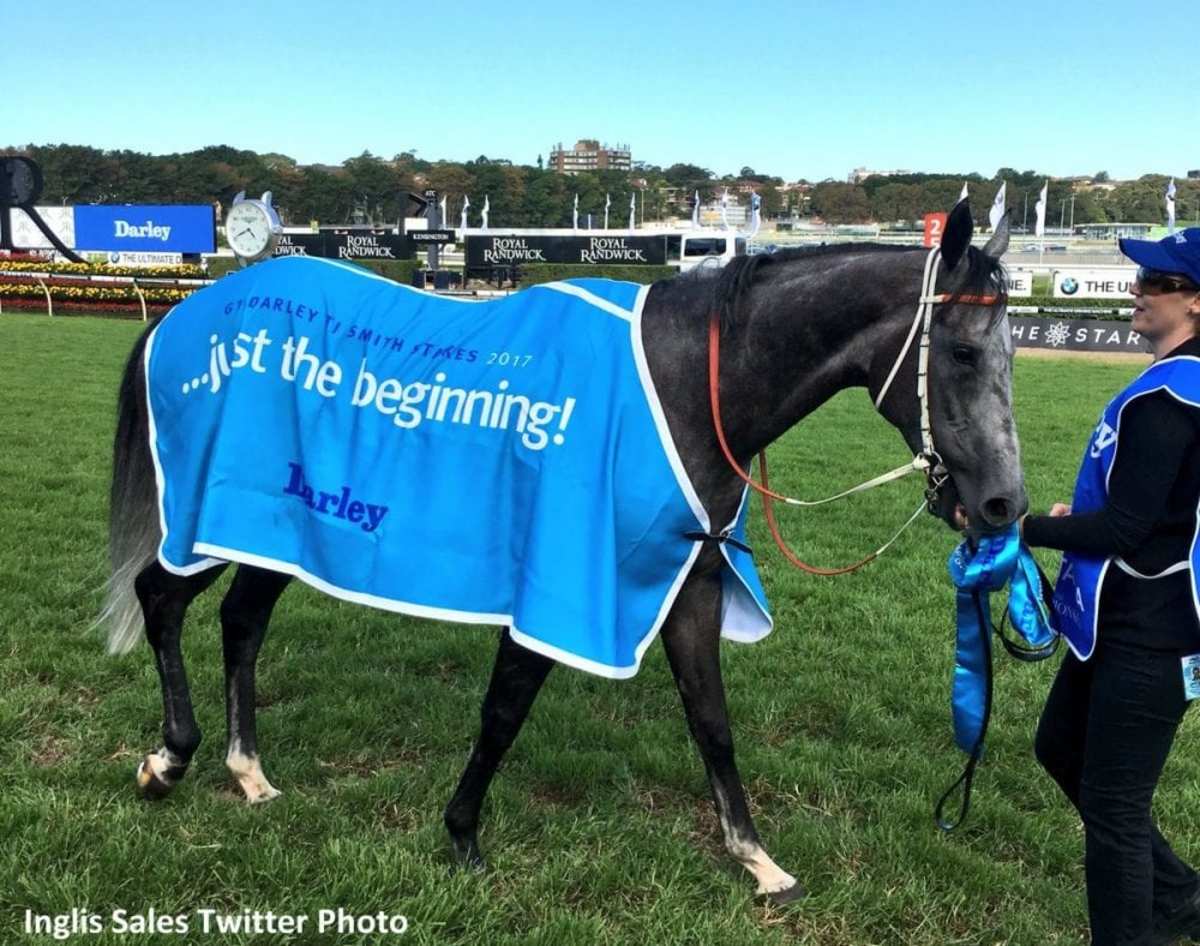 Chautauqua, It's Somewhat Earn Breeders' Cup Berths In Australia