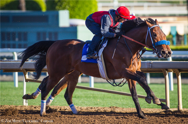 Don Alberto Stable & WinStar Farm Purchase Kentucky Derby Contender Battle Of Midway Paulick