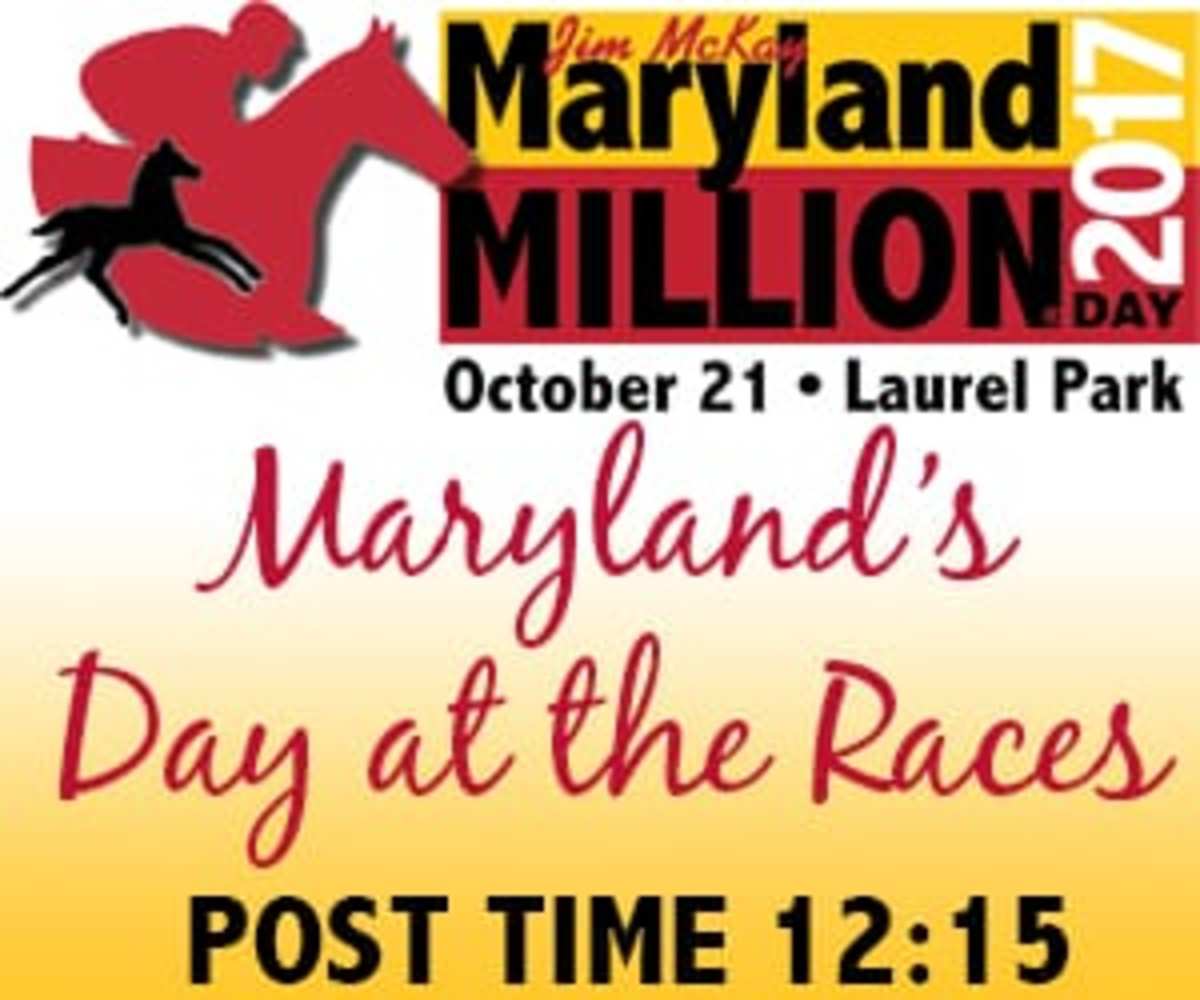 Maryland Million Day InDepth Analysis And Selections For Each Race