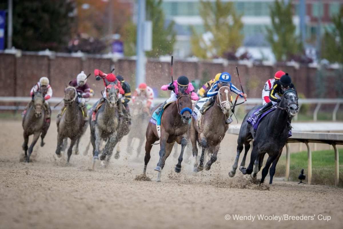 kentucky-derby-future-wager-pool-3-code-of-honor-joins-baffert-duo-as