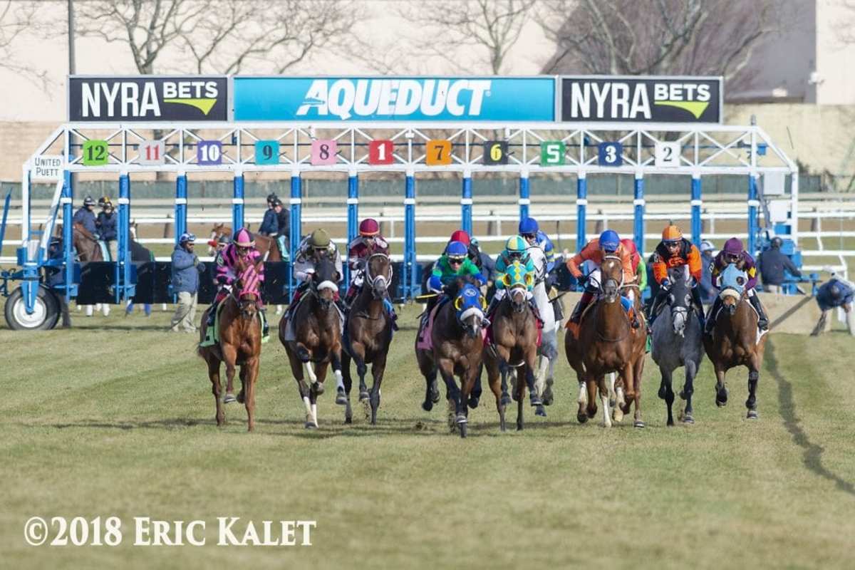 NYRA Releases 2019 Race Dates For Aqueduct Racetrack Paulick Report