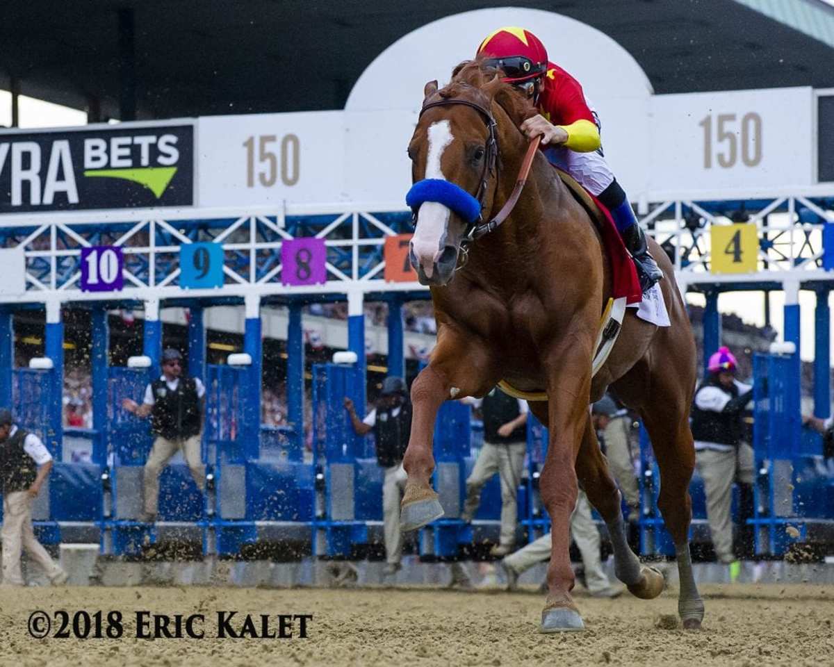 Bloodlines On Sire Lists And Stallion Earnings Paulick Report