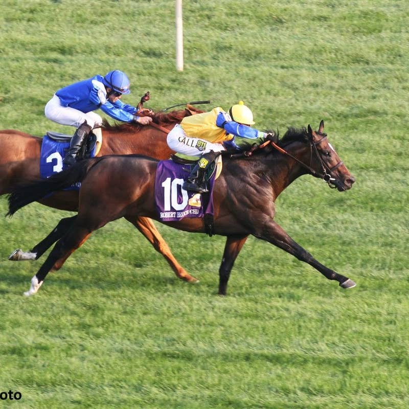 Million Winner Robert Bruce Extra 'Special' For Chilean Connections ...