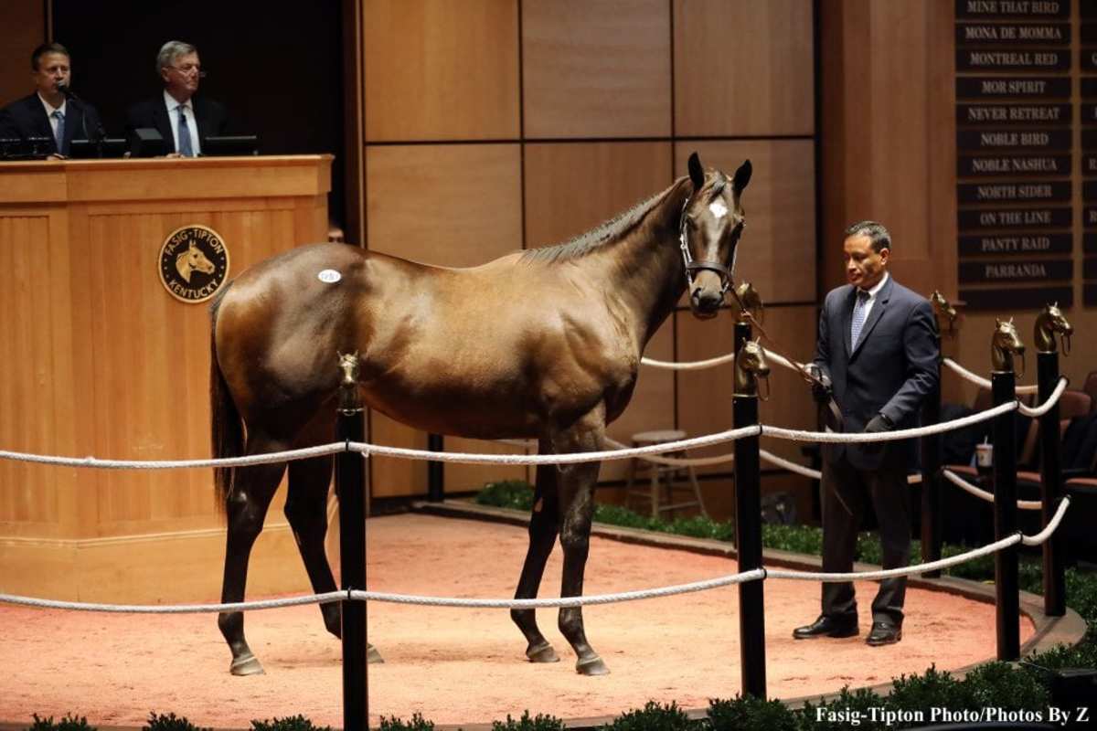 FasigTipton October Yearling Sale Produces NearRecord Returns