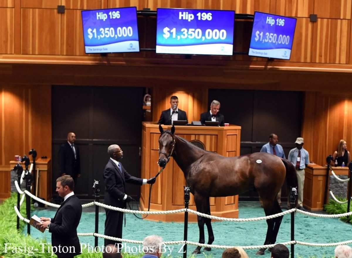 Medaglia d'Oro, American Pharoah Yearlings Spearhead RecordSetting