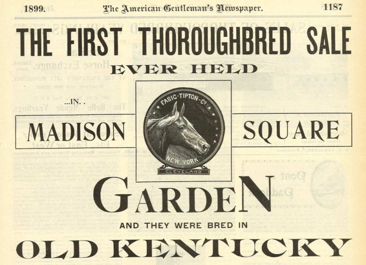 FasigTipton And Madison Square Garden Grew Up Together Paulick