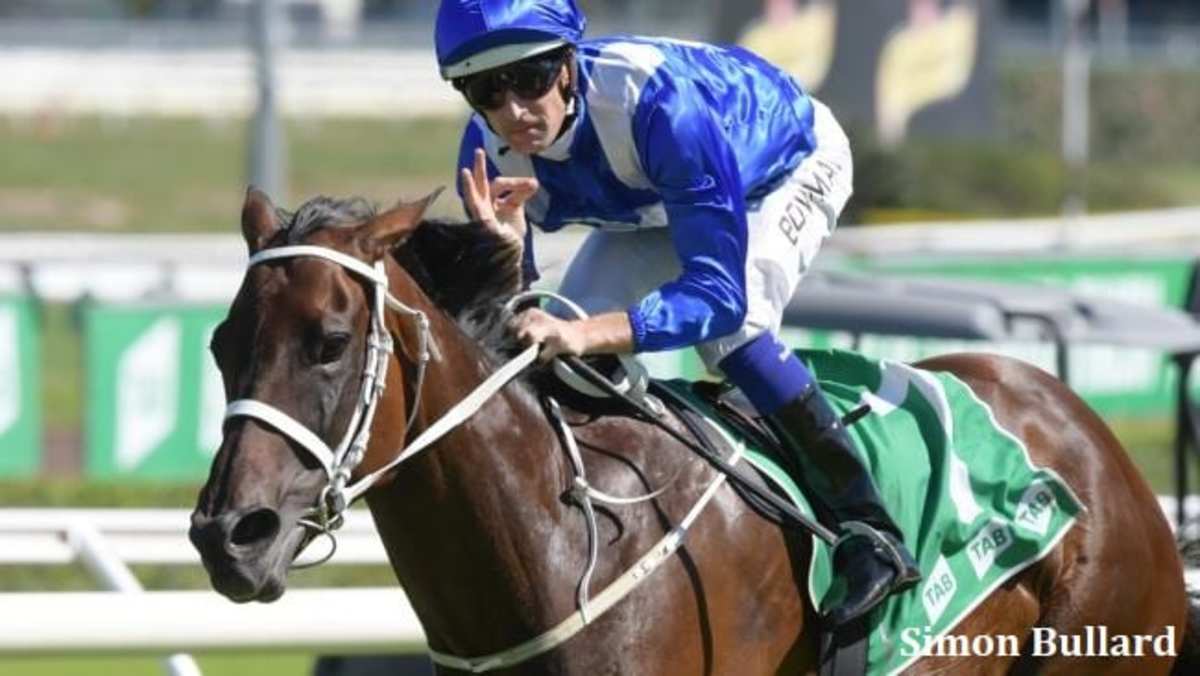 Winx s Bid For G1 Glory Highlights Golden Slipper Day Paulick