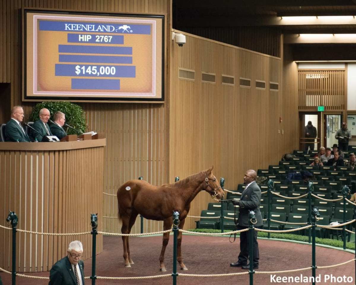 145 000 Dialed In Weanling Colt Leads Monday At Keeneland