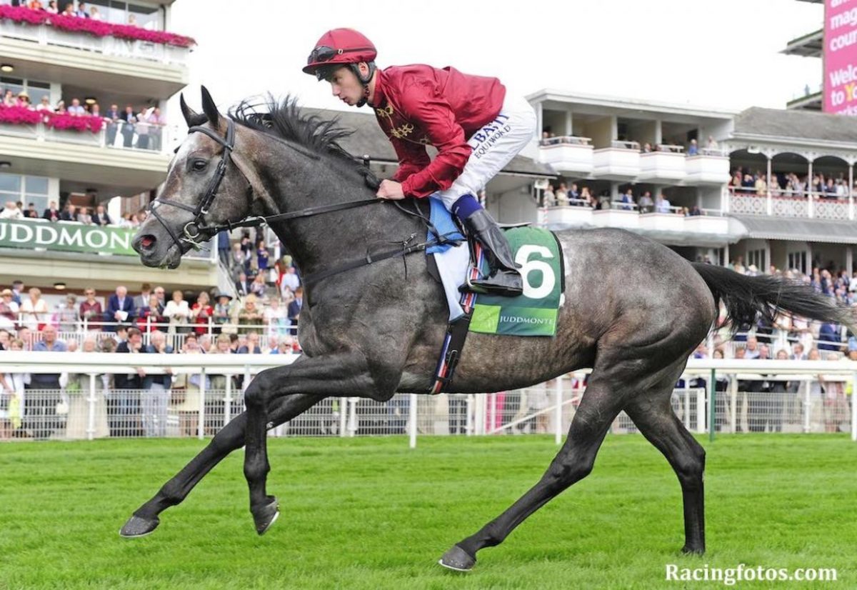 Gosden Trainees Take Five Cartier Awards: Roaring Lion Horse Of The ...