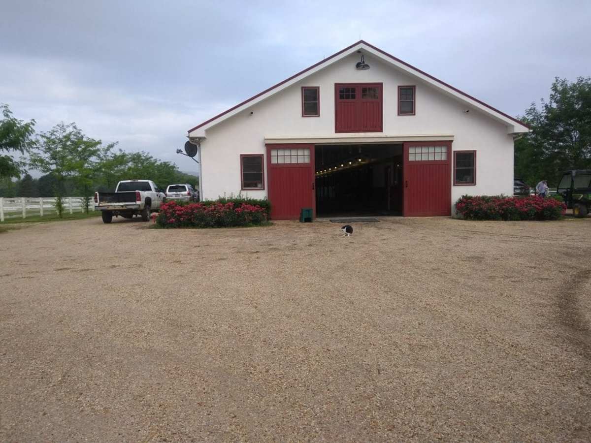 Sagamore Farm Looks Toward The Future While Honoring The Past Paulick Report Shining Light