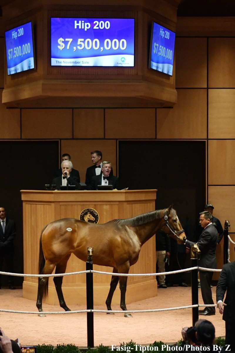 7.5Million Lady Aurelia, RecordPriced Weanling Drive AllTime High