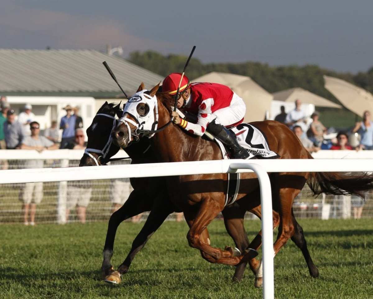 Juveniles Henley's Joy, Tracksmith Go HeadToHead In Dixiana Bourbon