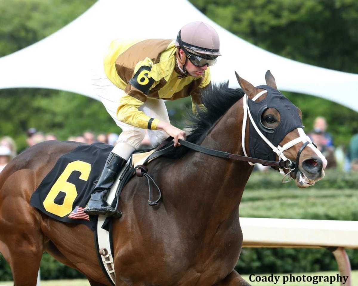 Equibase Analysis Winning Tune In The Peter Pan Stakes? Paulick