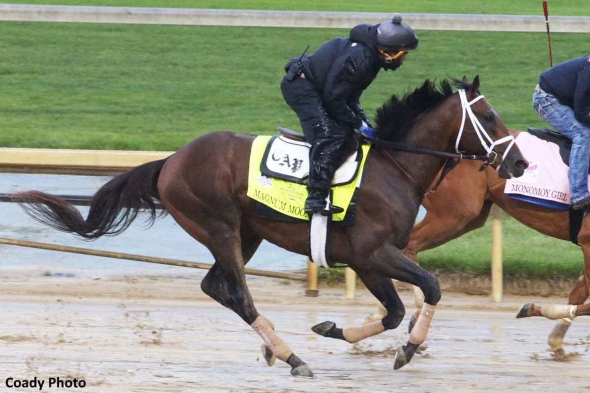 Derby Notes: Pletcher's Four Make First Appearances, Brown On-Hand For ...