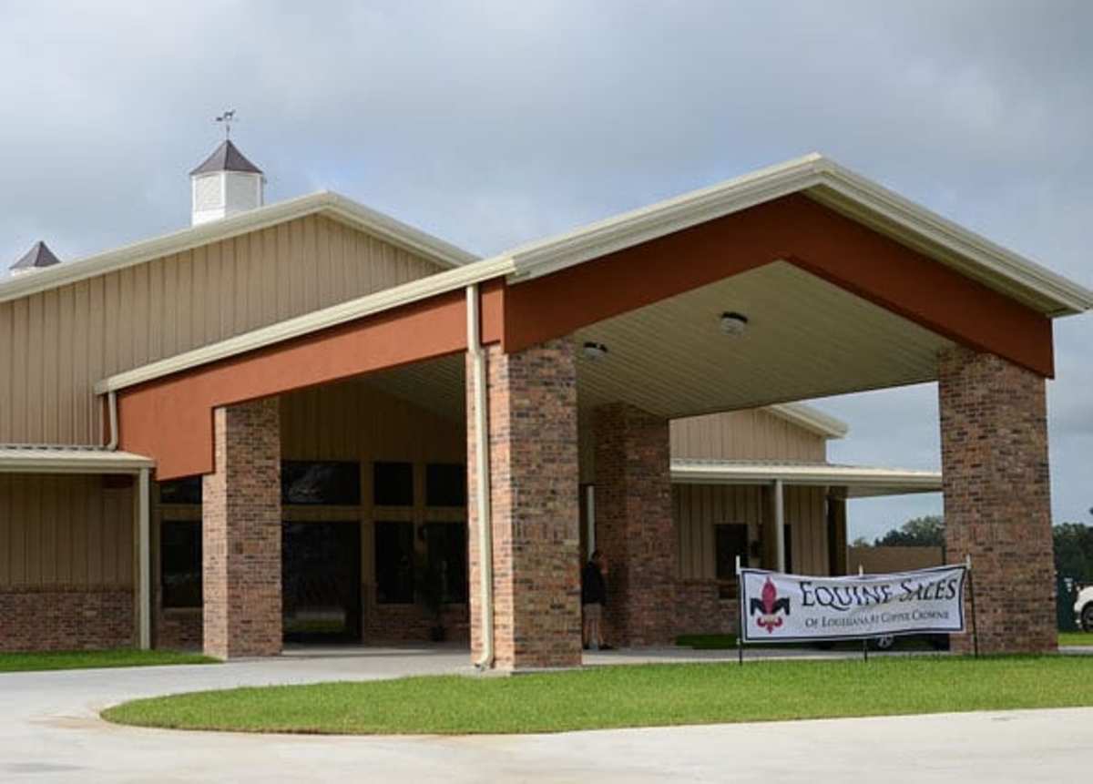 Equine Sales Company's Consignor Select Yearling Catalogue Now