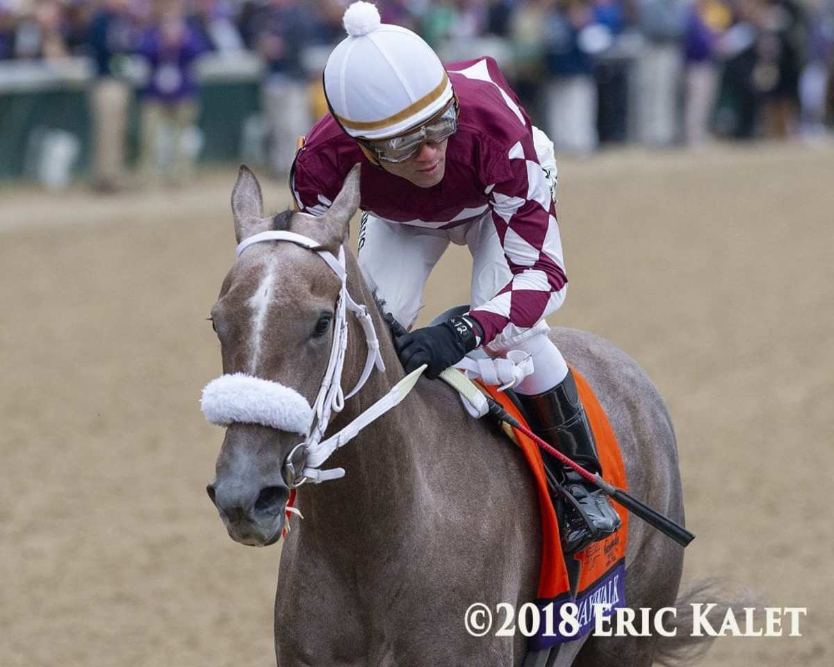 Juvenile Filly Champ Jaywalk Will Take Florida Route To Kentucky Oaks