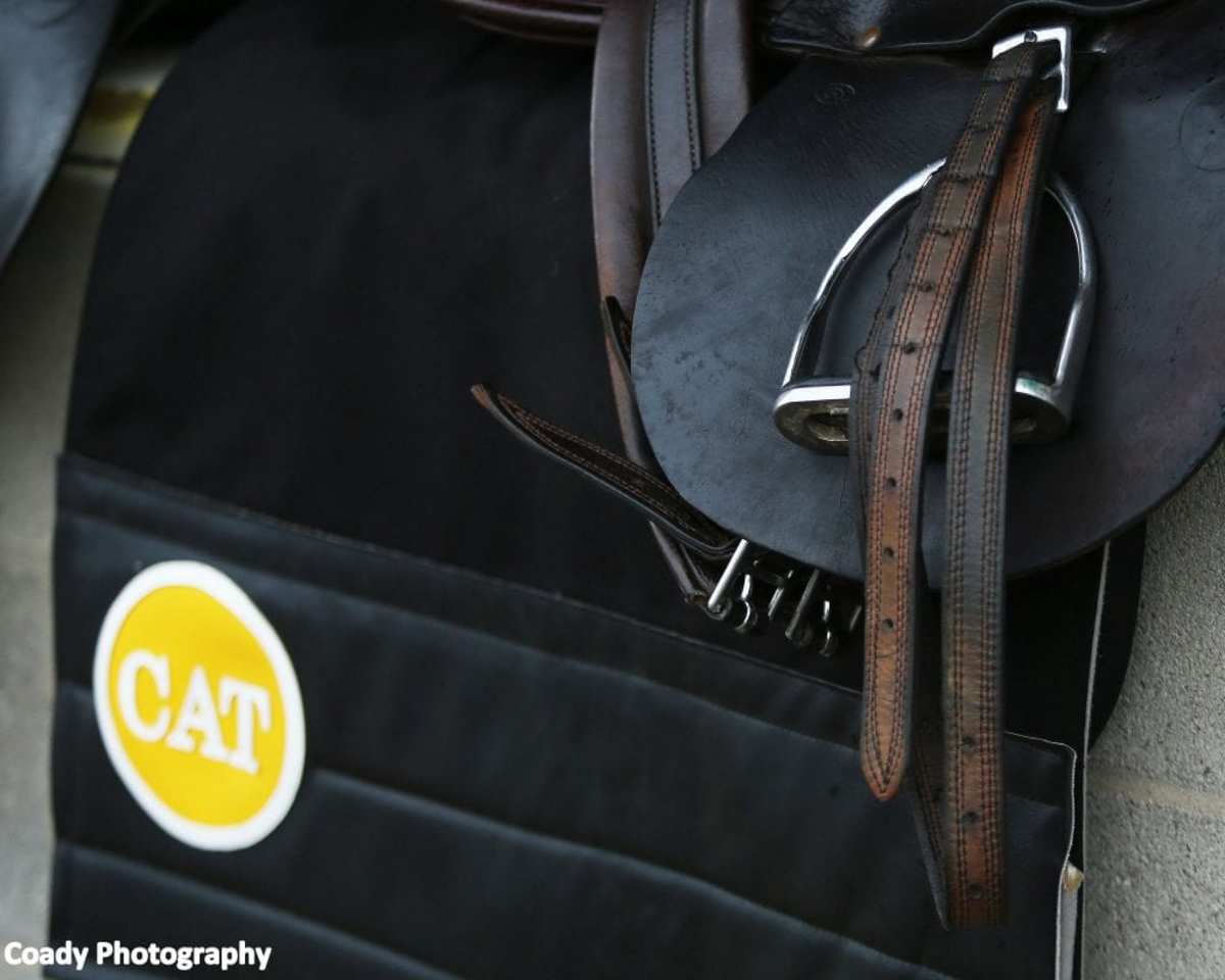 Doc’s Products, Inc. Presents How To Fix The Girthy Horse Paulick