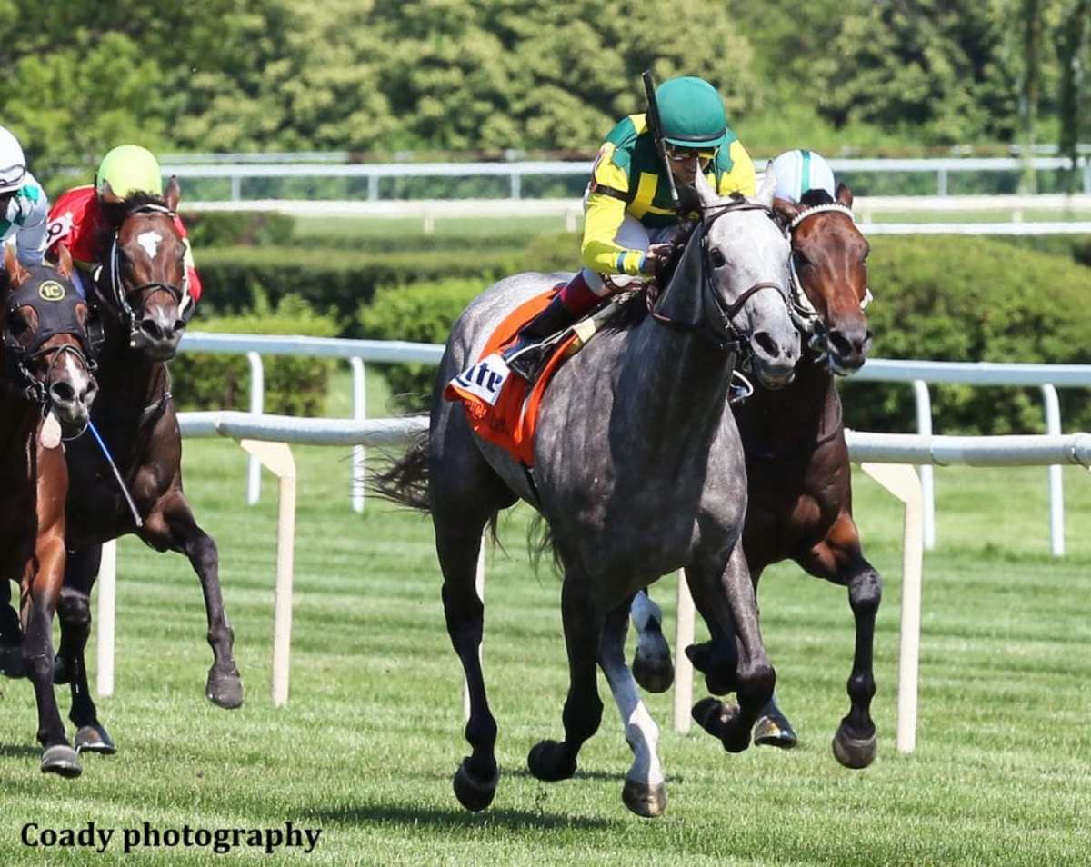 Real Story Front-Running Winner Of American Derby In Stakes Debut ...