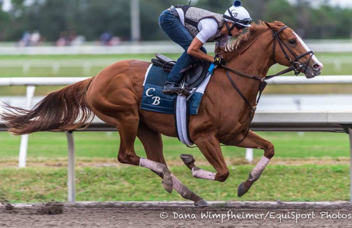 Champion Good Magic Records Solid Final Breeze Before Sophomore Debut   21 0118 Goodmagic Pm  Dbw0091 