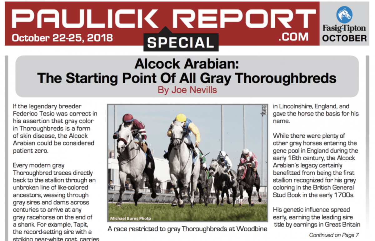 PR Special FasigTipton October Shades Of Gray Paulick Report