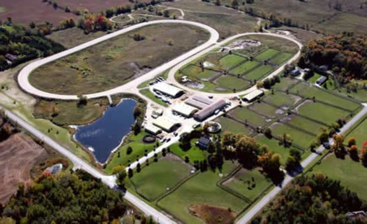 Barn Fire Kills Five Standardbreds At First Line Training Centre