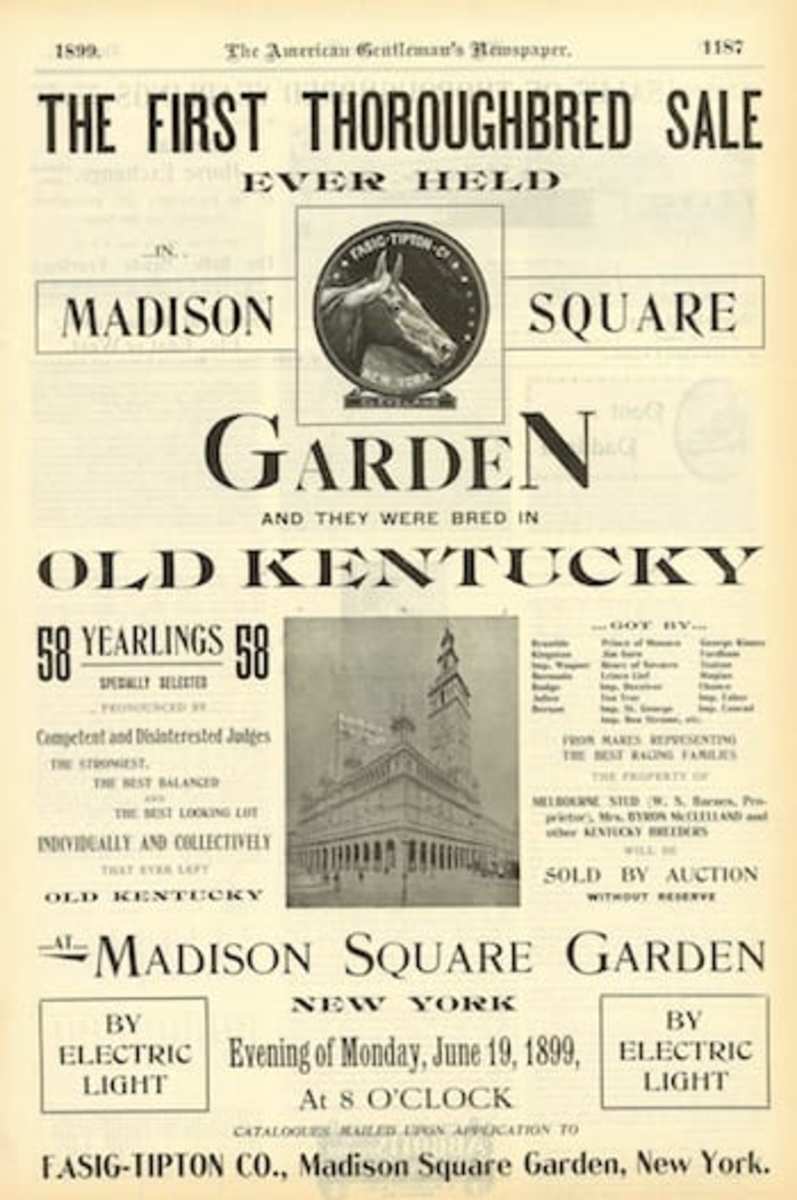 FasigTipton And Madison Square Garden Grew Up Together Paulick