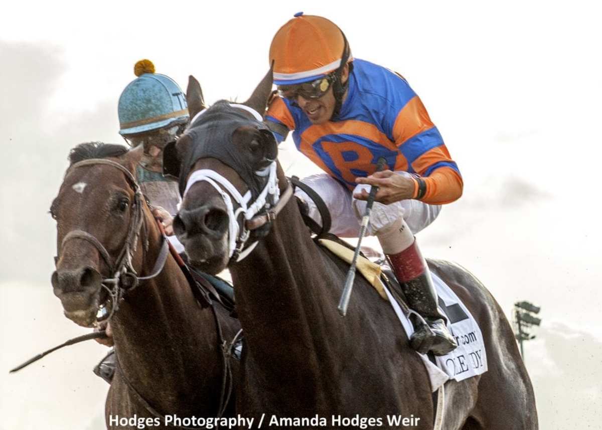 Bloodlines Take Charge Indy Comes Into His Own Paulick Report