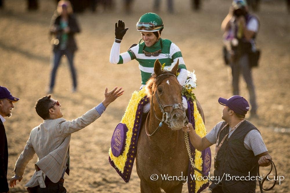 Justify Vs. Accelerate: Horse Of The Year Debate Heats Up After ...