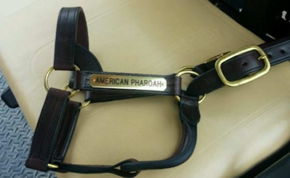 Triple Crown Champions' Halters To Be Auctioned Online For Central