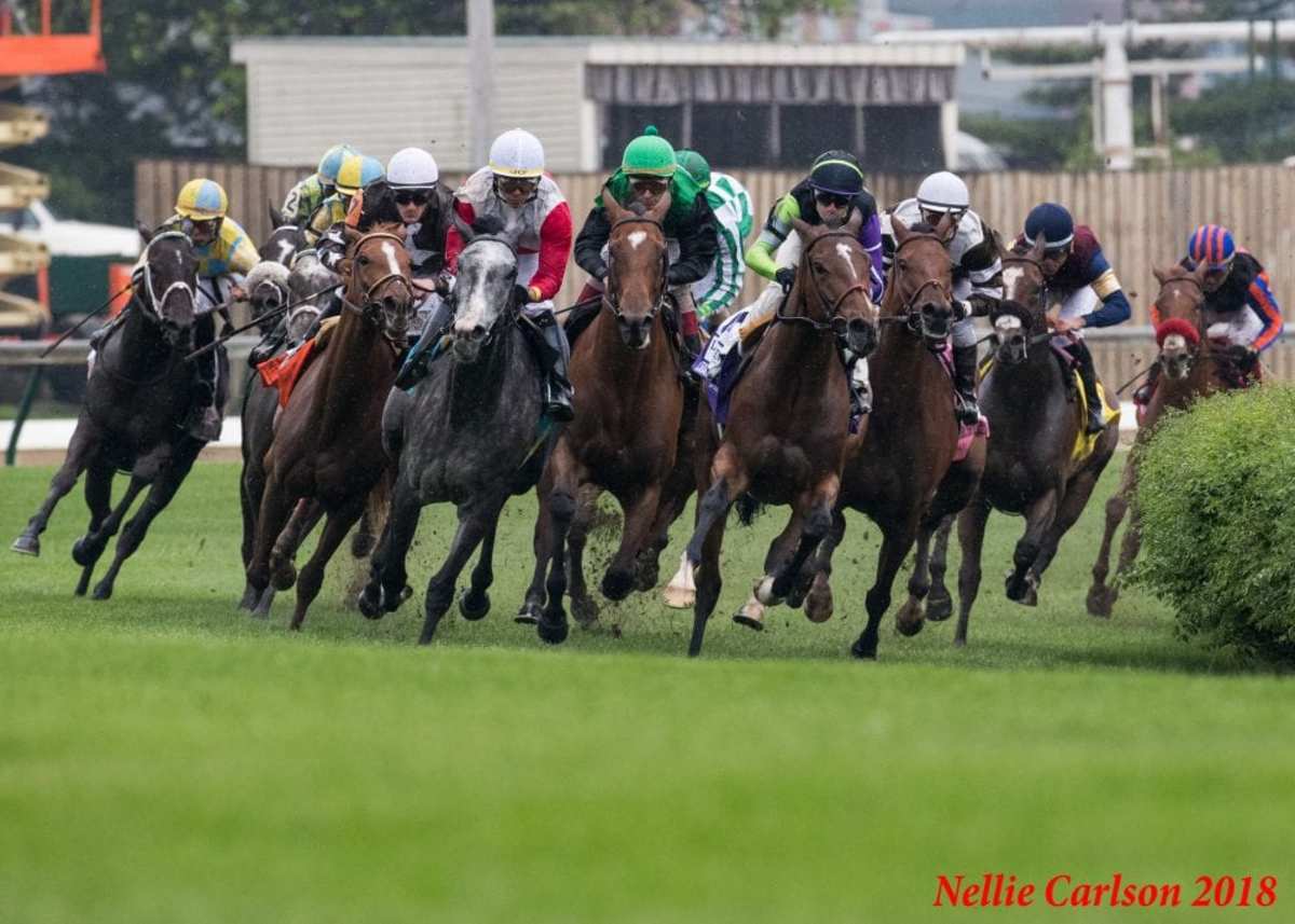 Proctor s Ledge Scoots To Victory In Churchill Downs Distaff Turf