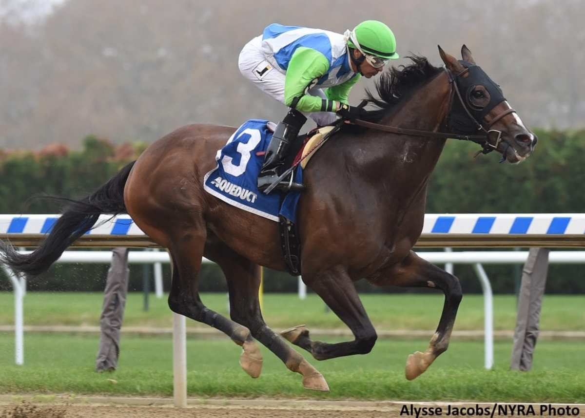 No Dozing Leaves No Doubt In Bold Ruler - Paulick Report | Latest news ...