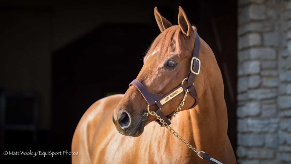 Which Stallions Mattered Most On The 2022 Kentucky Derby Trail