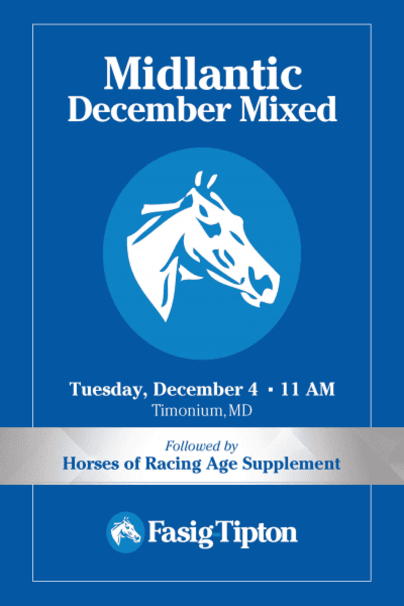 FasigTipton Midlantic December Mixed Sale Catalog Now Online Paulick