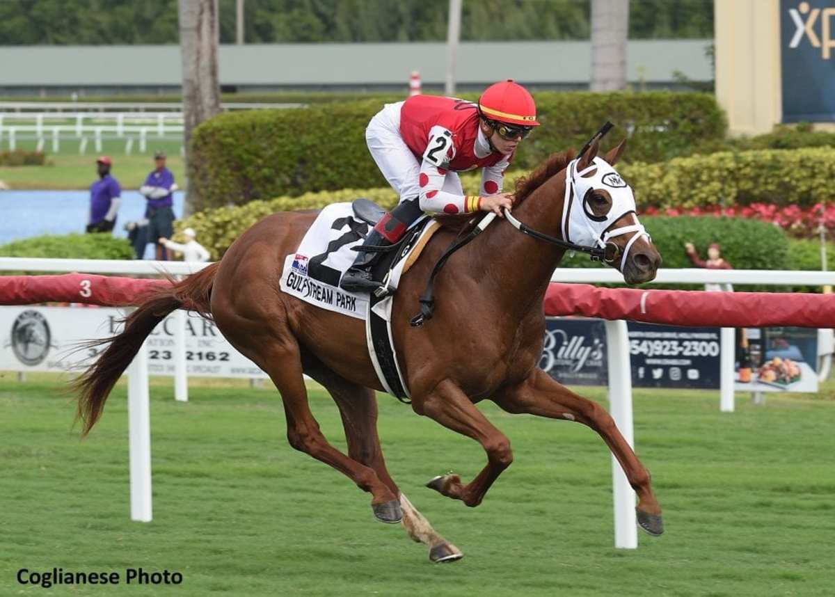 Louder Than Bombs Hopes To Make Noise Against Henley's Joy