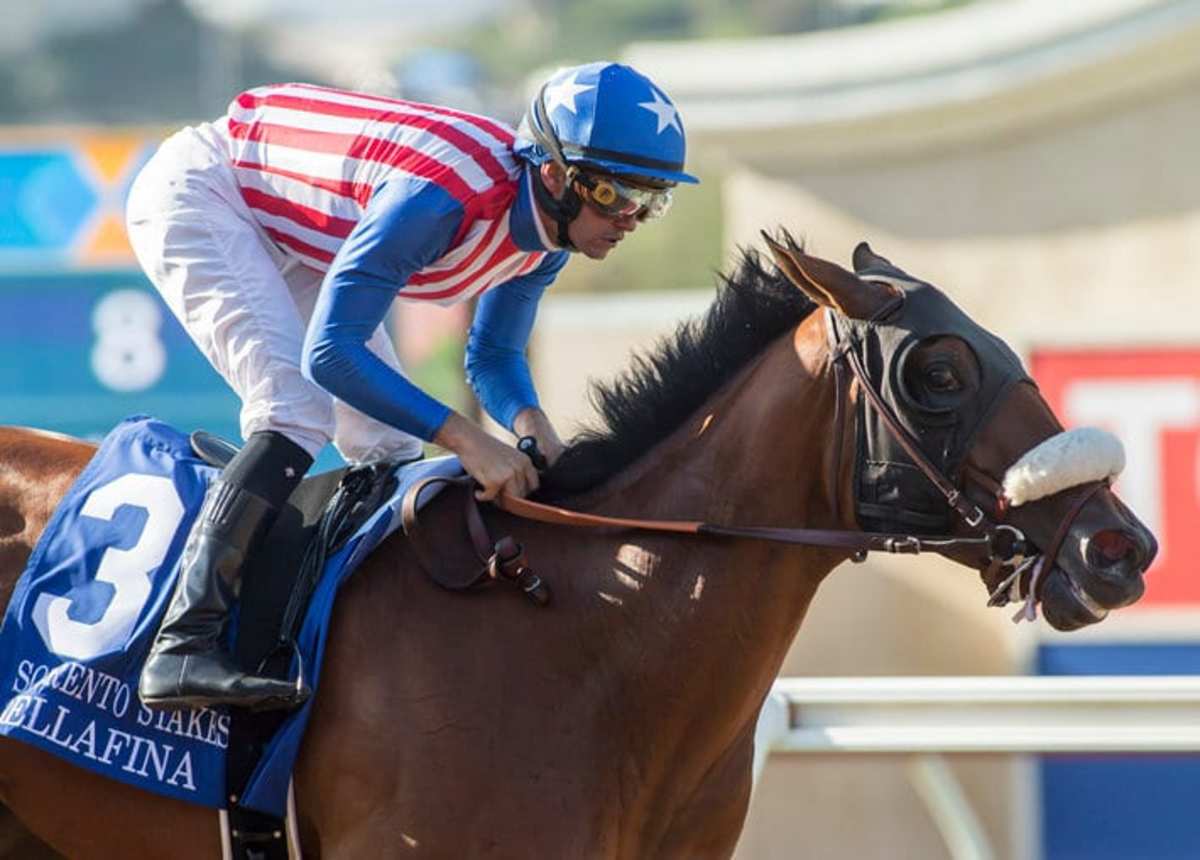 Equibase Analysis Who Will Step Foward In The Del Mar Debutante