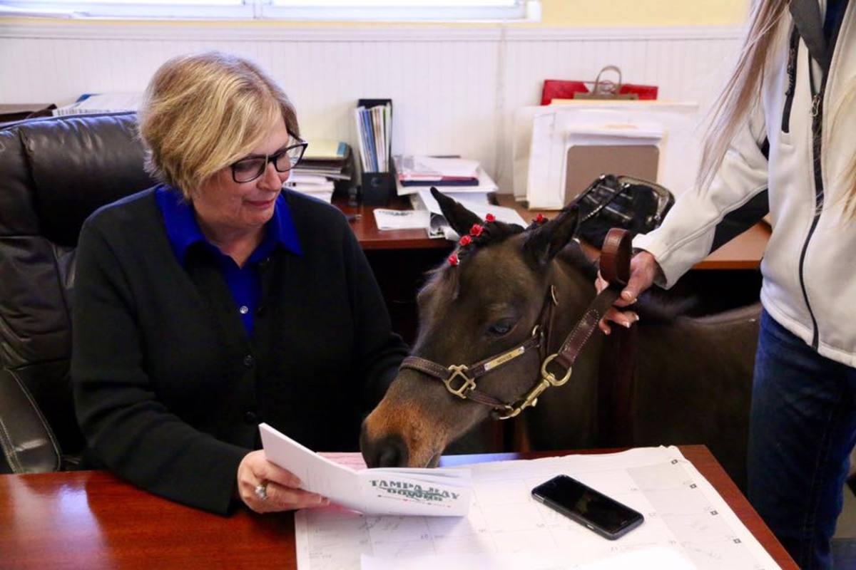 Barn Buddies Presented By Doc's Products, Inc. Of Mouse And Men