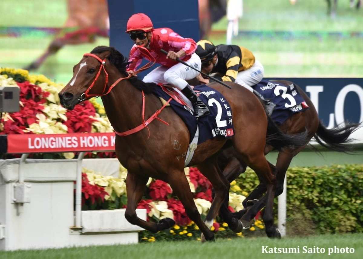 Under New Tutelage Mr Stunning Repeats In Hong Kong Sprint