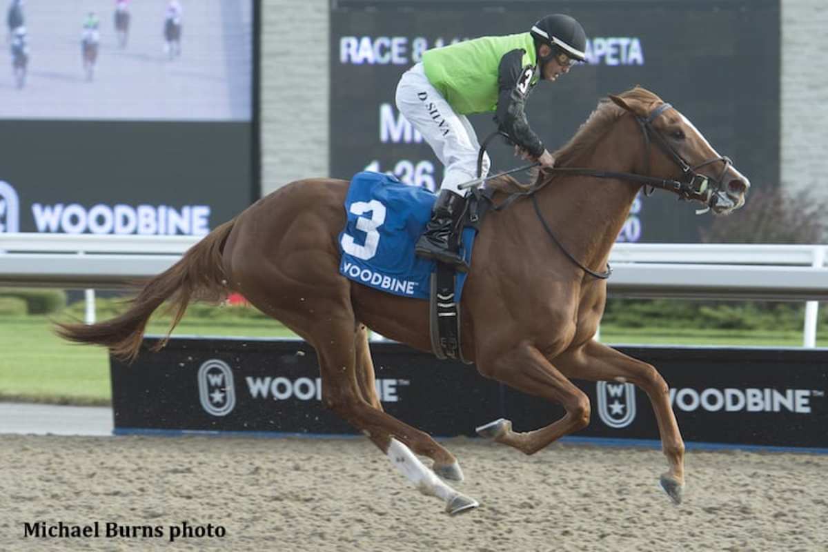 Turfway Park, Woodbine Collaborate On AllWeather Winners Challenge