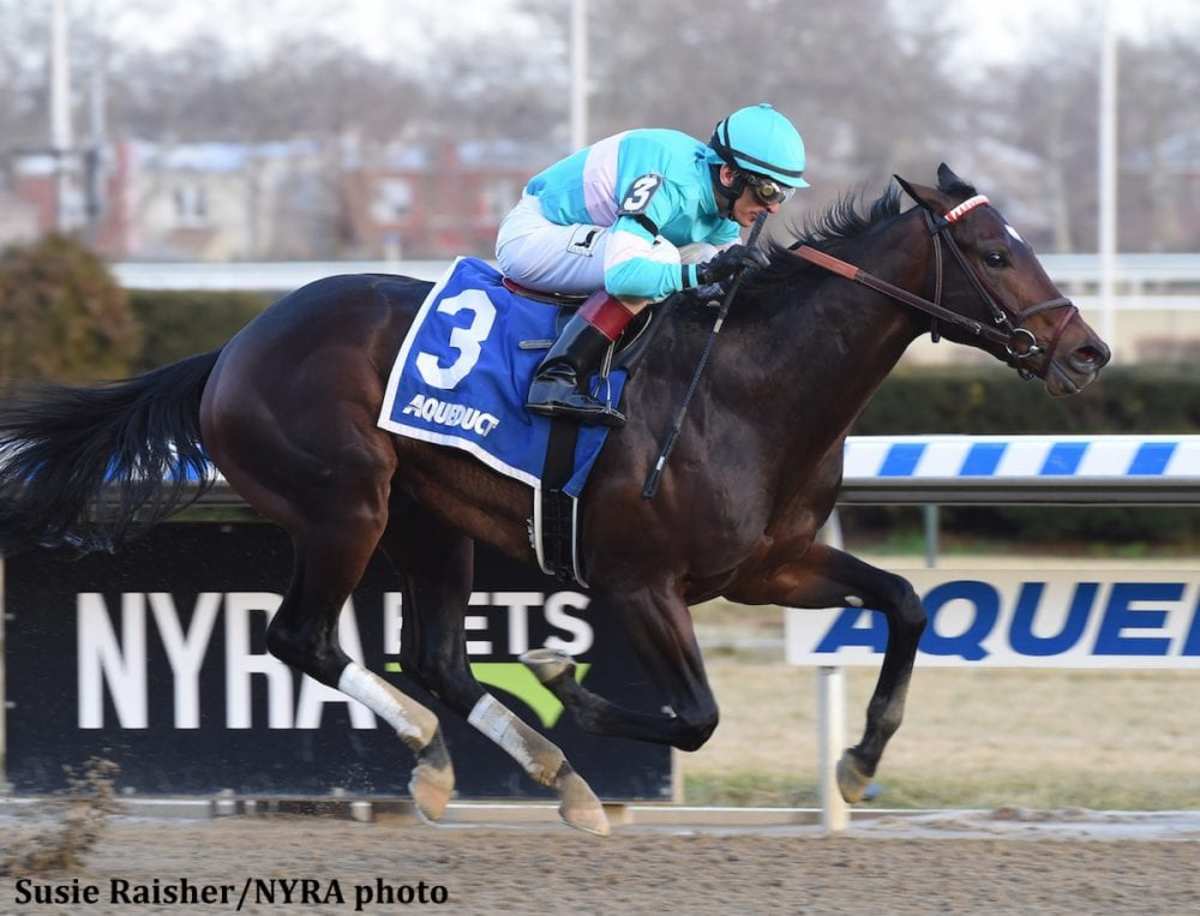 Gotham Sacco Ready To Start 'Tightening The Screws' On Mind Control