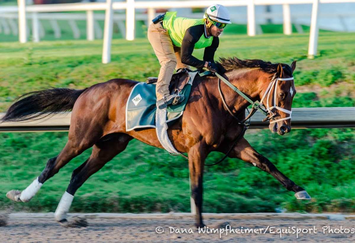 Bourbon War To Try Out ‘Short-Cup Blinkers’ In 144th Preakness