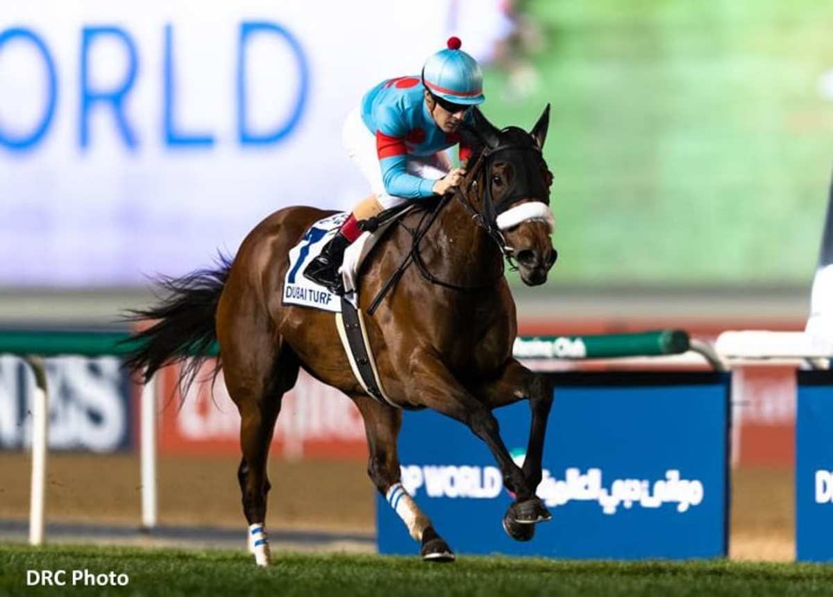 Japanese Star Filly Almond Eye Proves Best In Dubai Turf Paulick Report Shining Light on the
