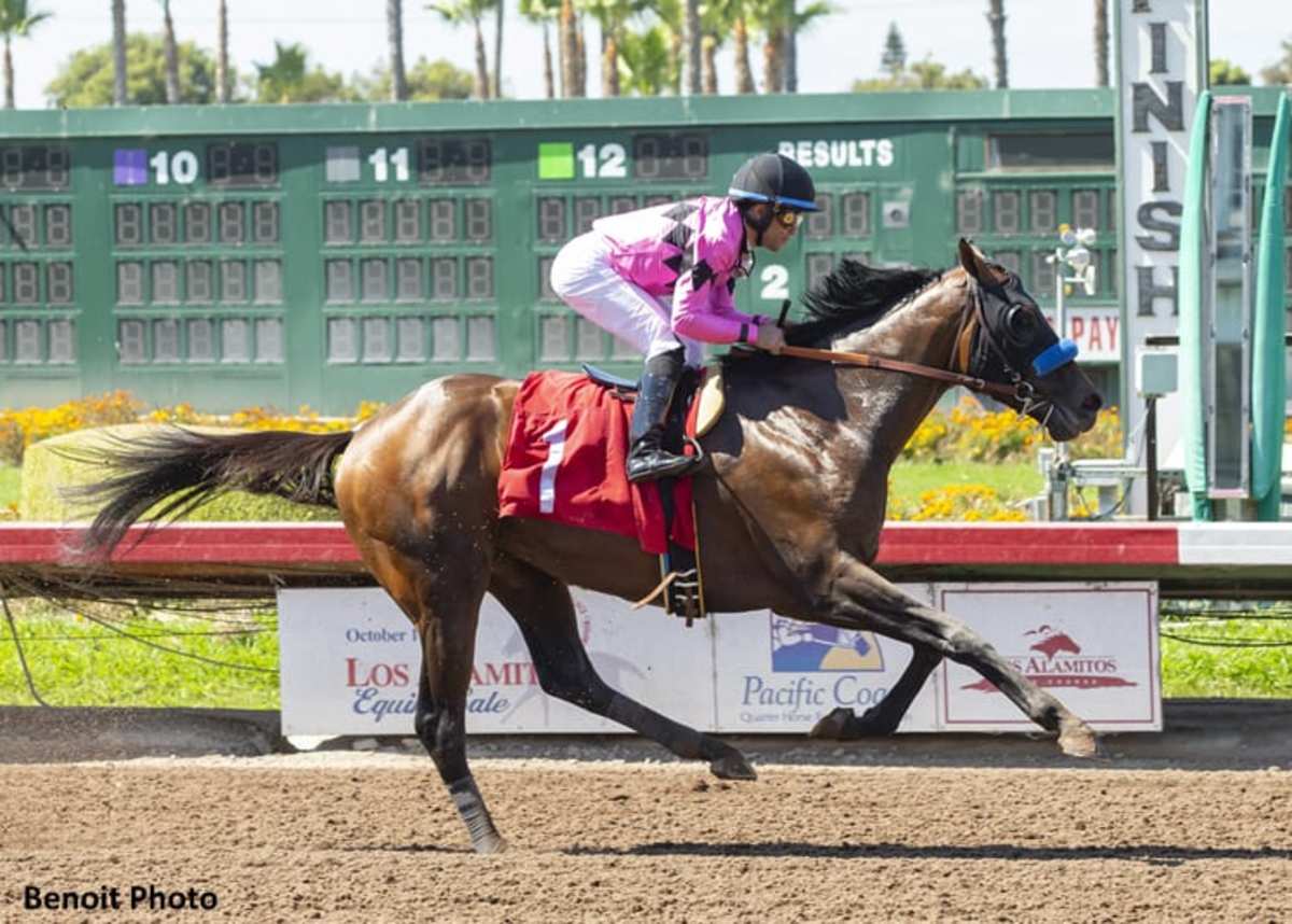 Baffert Trainees Game Winner, Marley's Freedom To Miss Breeders' Cup ...