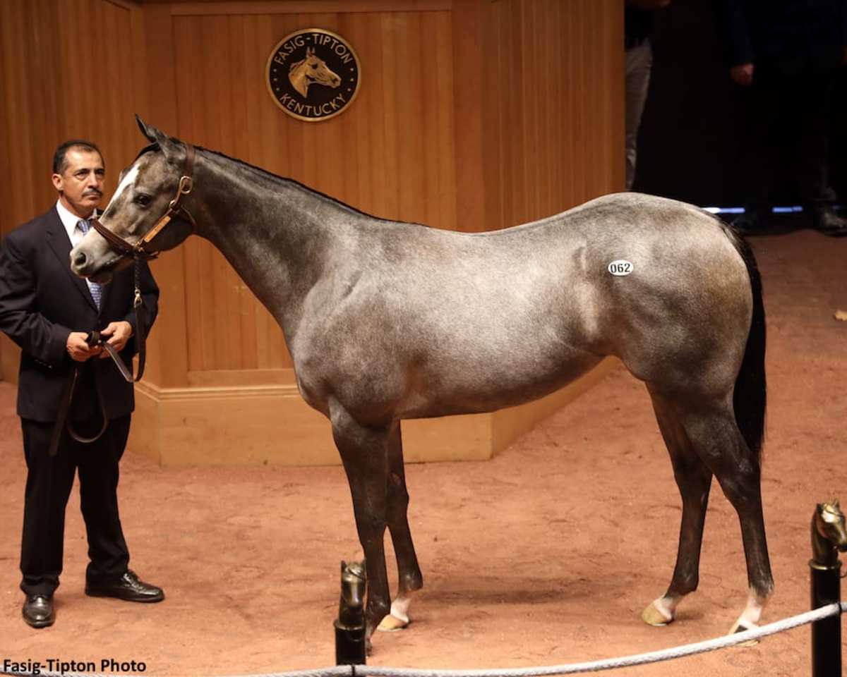 Medaglia d'Oro, Baccari Star On Opening Day Of FasigTipton October