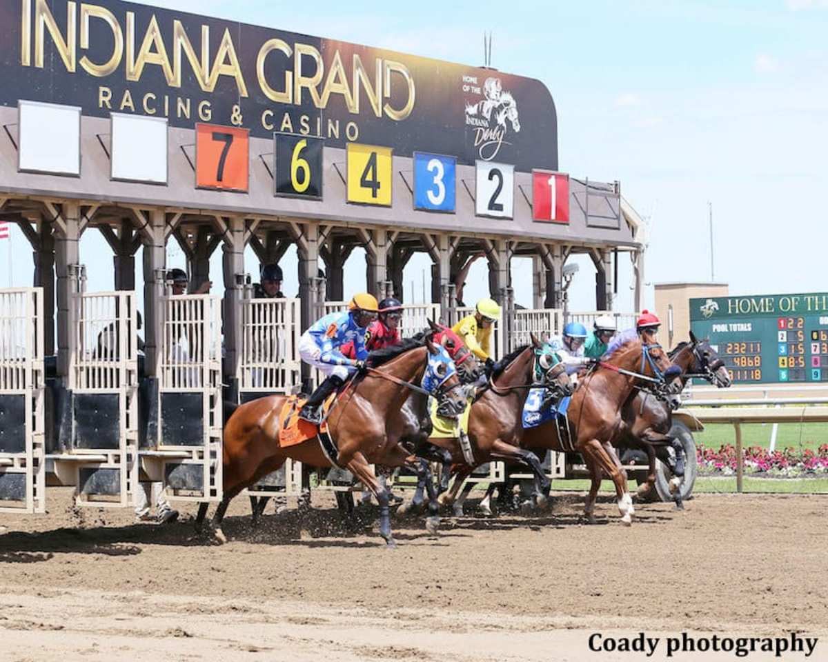 Indiana Grand Releases Revised Quarter Horse Condition Book, Offering