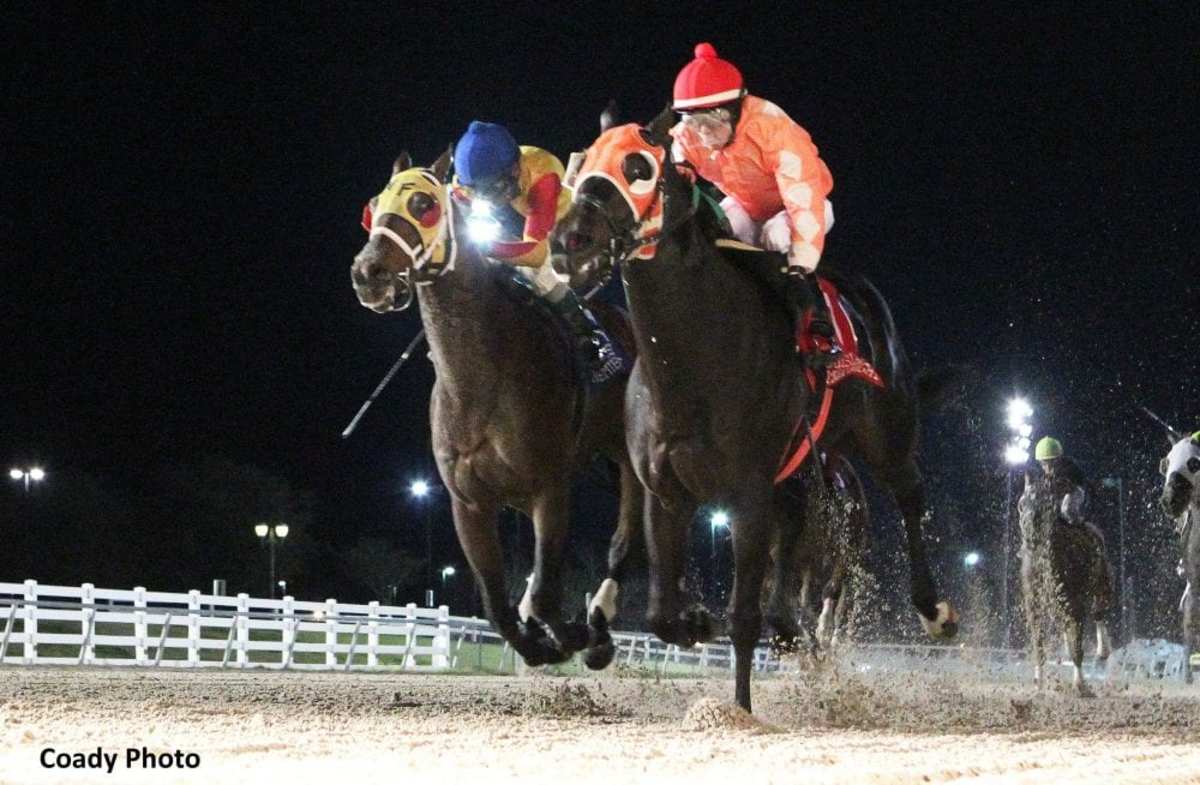 Four Stakes Wins Net Diego Saenz Jockey Of The Week Title - Paulick ...