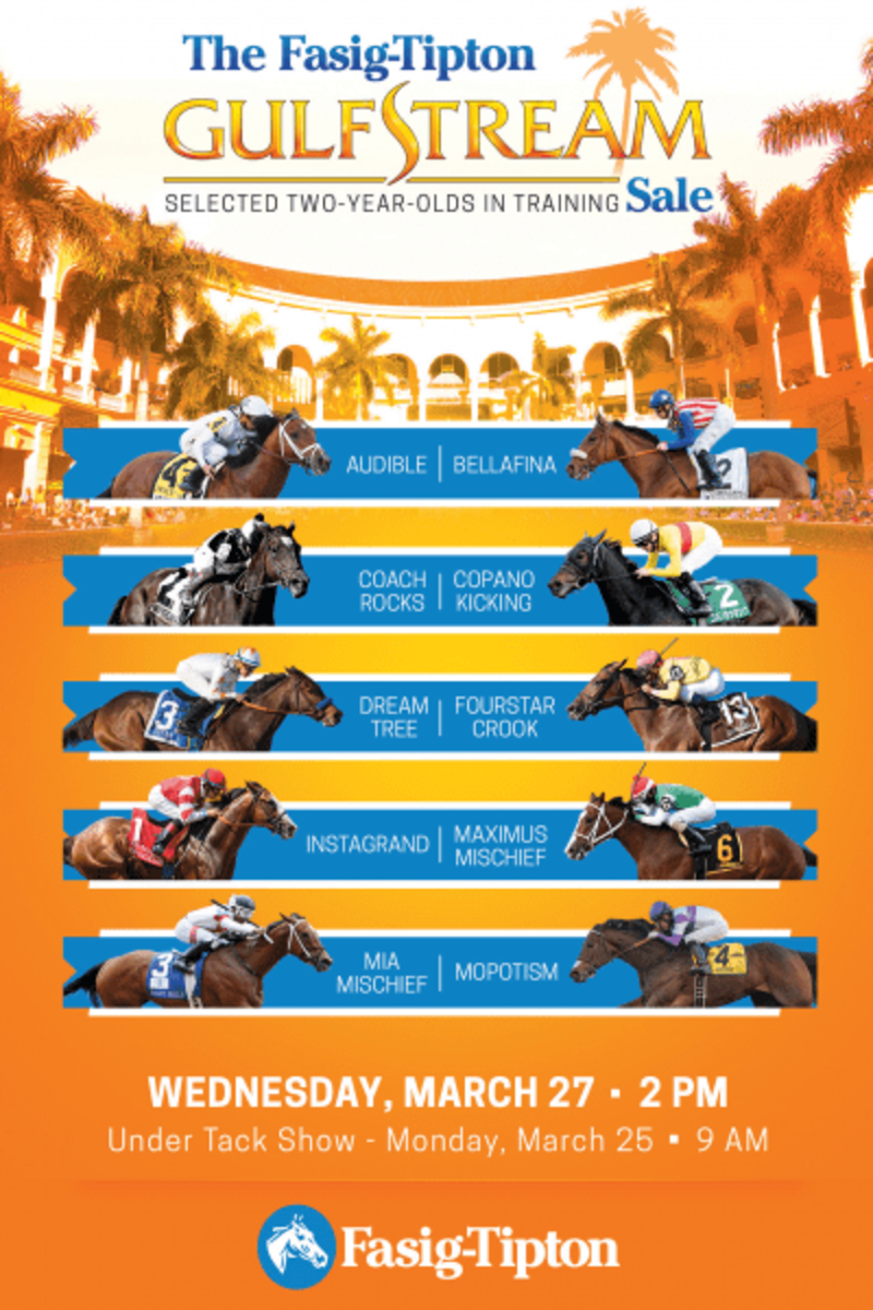 FasigTipton Gulfstream Sale Catalog Now Online Paulick Report