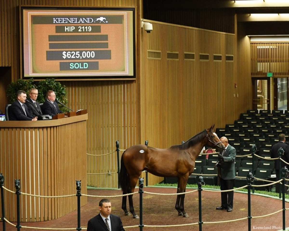 625,000 Quality Road Colt Leads Monday Session At Keeneland September