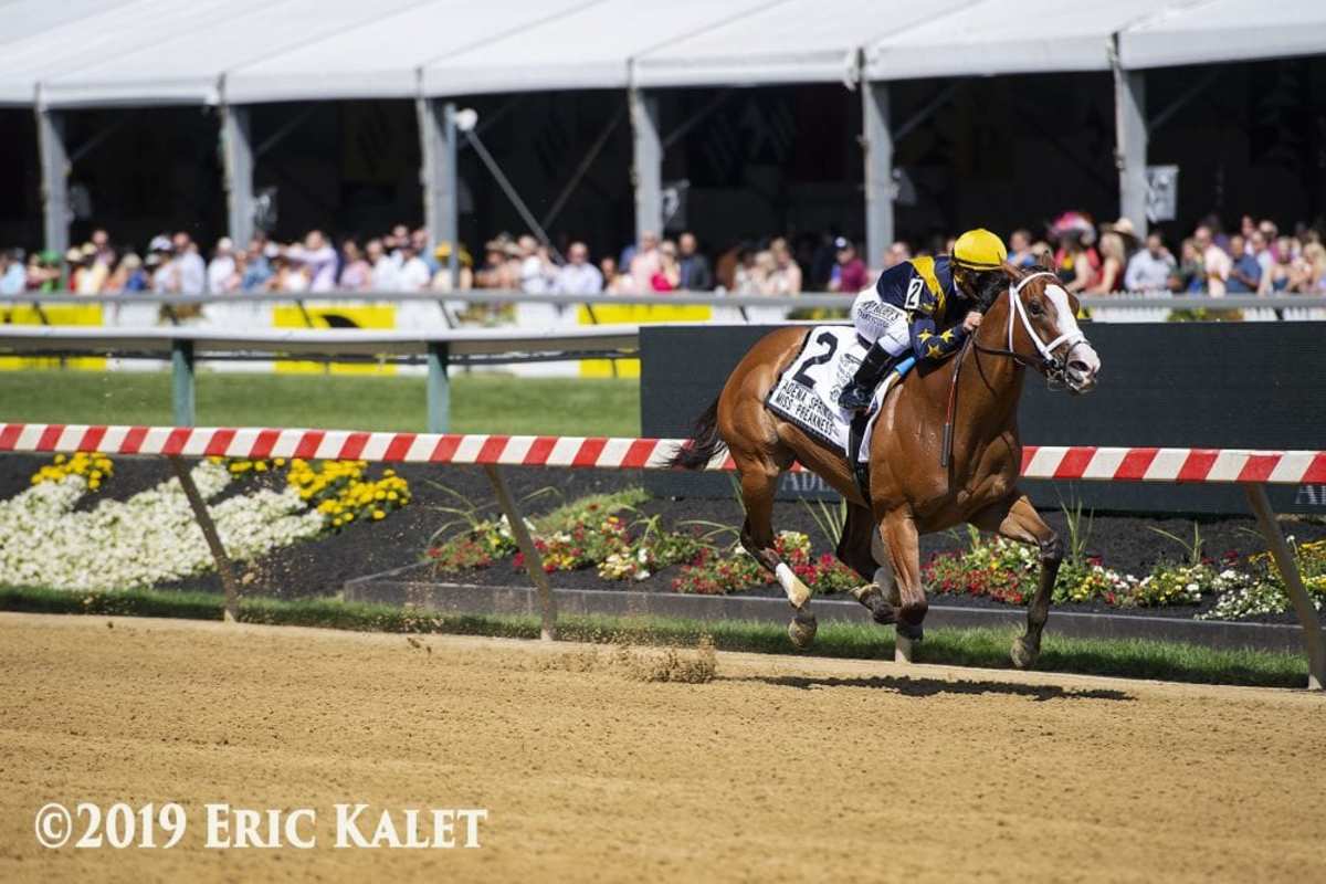 Covfefe Sets Track Record In Miss Preakness Paulick Report Shining