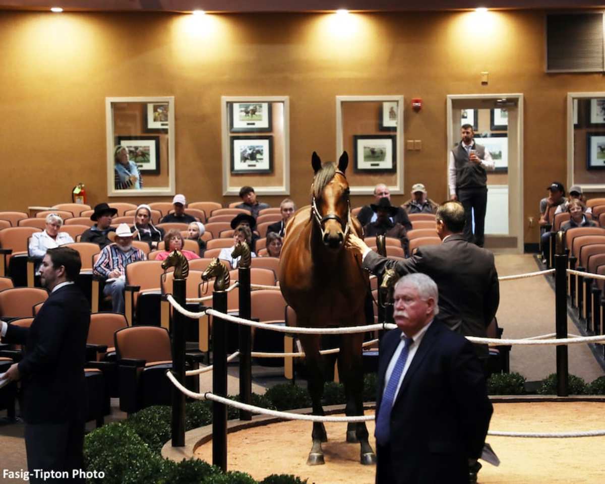 FasigTipton Kentucky October Yearling Sale Catalog Now Online