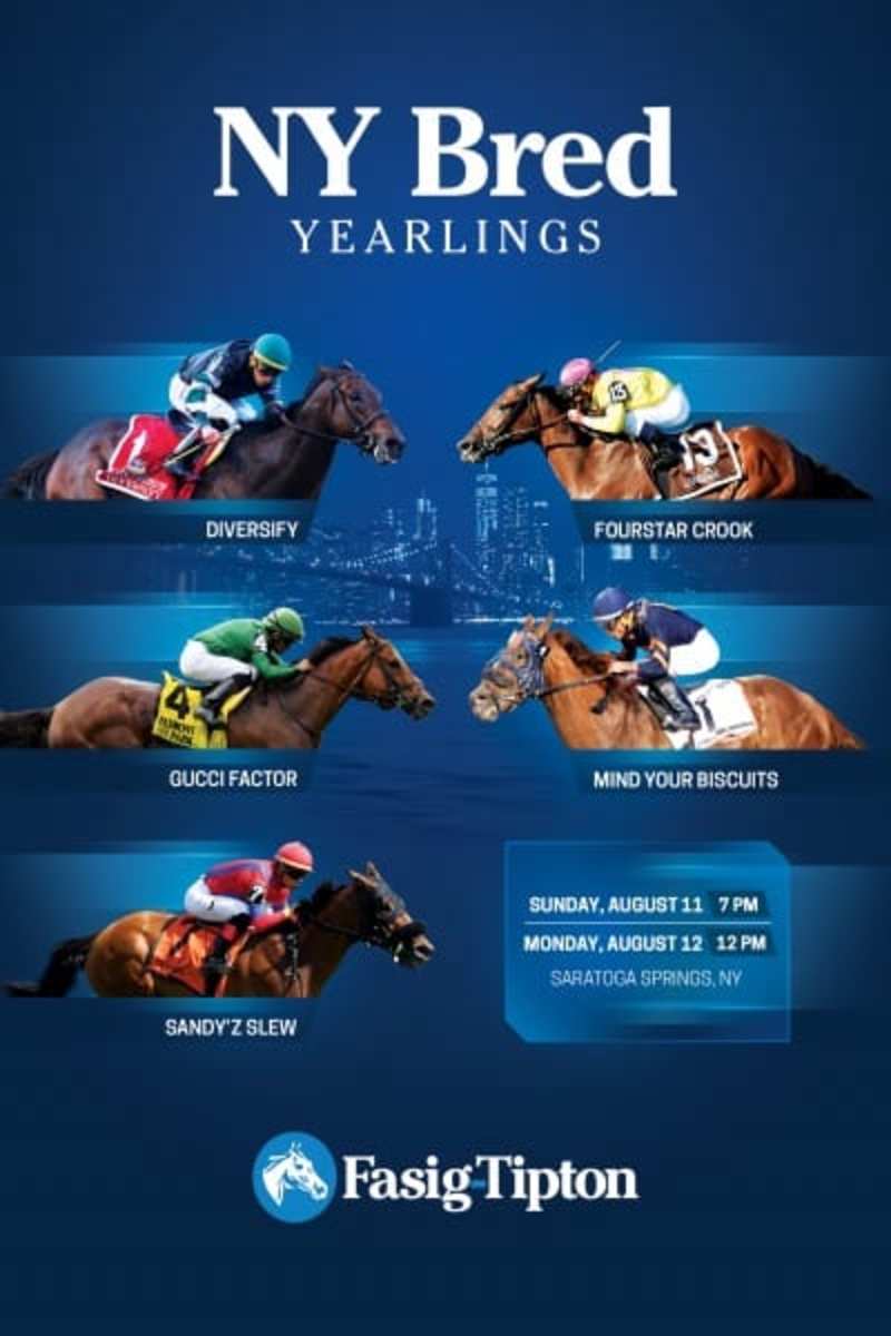 FasigTipton New YorkBred Yearlings Sale Catalog Now Available Online